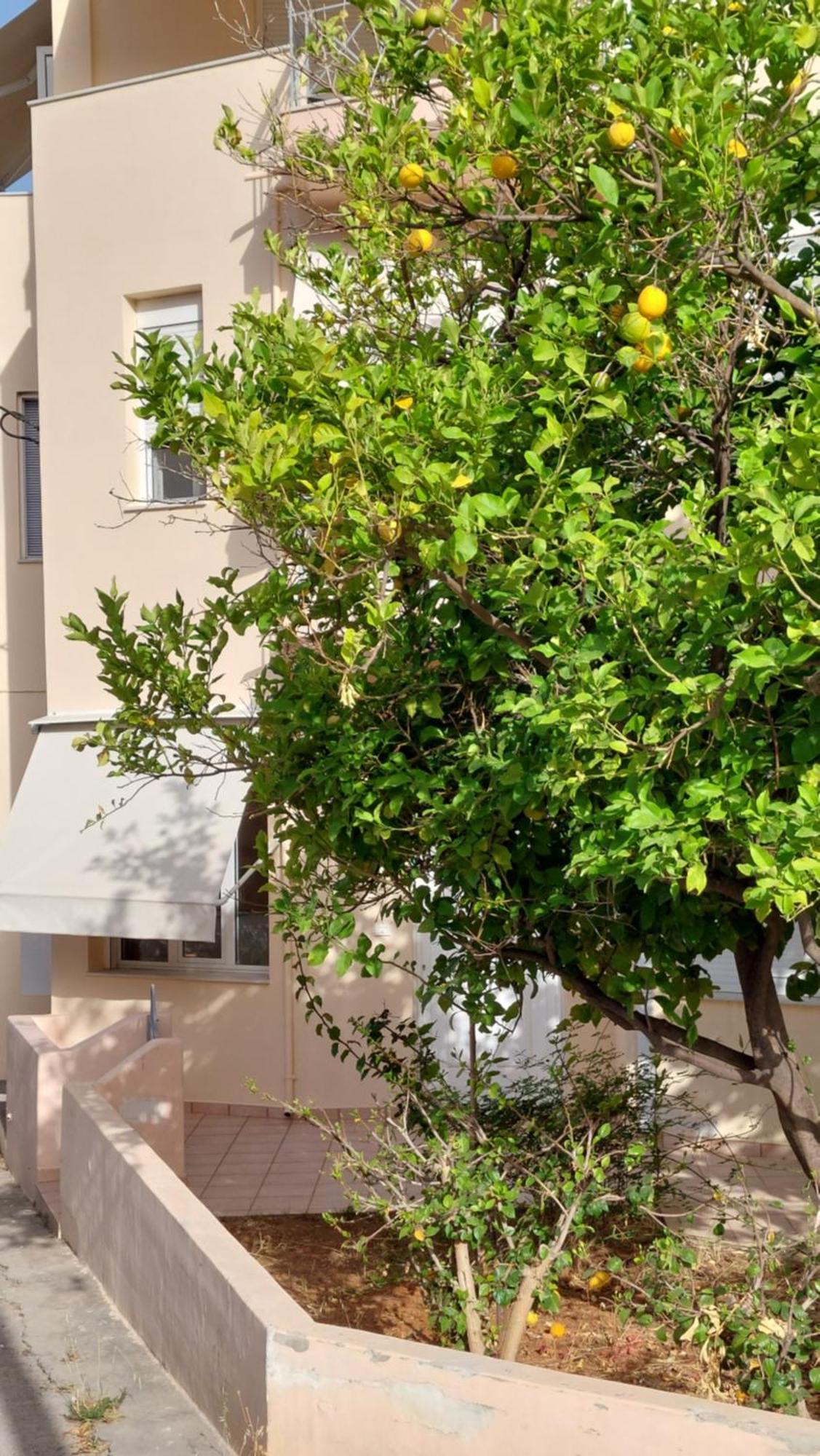 Sunbeam Retreat Βίλα Χανιά Εξωτερικό φωτογραφία